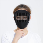 Winter Face Mask