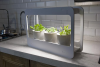 Indoor Herb Vegetable Plant Garden Kit - 6% OFF!
