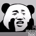 file chung chi cert_phucios