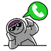 Say Hi