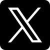 𝐗