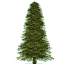 Link tree