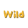 KCLOUD WILD