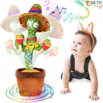 Cacto 🌵 brinquedo infantil