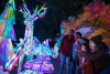 LA Zoo Lights: Animals Aglow