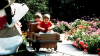 Three Classic Attractions Closing in Camp Snoopy | Knott's Berry Farm | Buena Park, CA