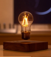 28. Levitating Light Bulb Night