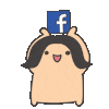 FB