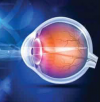Reverse eyesite