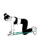 Resistance Bands