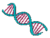 DNA KID 🧬 MyHeritage (Code: Astrodaddy)
