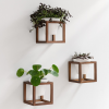 Hanging Flower Pots