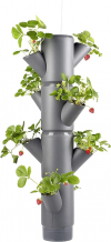 Standing strawberry tower
