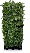 Mini Vertical garden holes