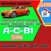BIRO JASA SIM BINTARO
