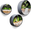 Metal Round Wall Planter