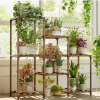Plant Stand for Indoors & Outdoors