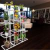 White Plant Stand (11 pots capacity 🪴)