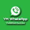 YM WhatsApp