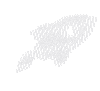 Shuttle