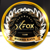 XFOX Global Blog
