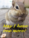 Help Feed the Animals