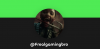 PARTNER WEBSITE(Frealgamingbro)