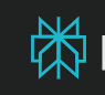 Perplexity ai