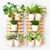 Wall Planters Decor