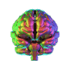 TRAUMA MAMA HOUR for Brainspotter’s