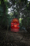Bhagavathi - Project Malabaricus