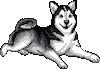 TikTok Shop | For Pets and Cats