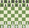 chess (bugged)