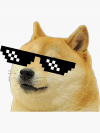 Doge