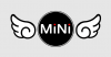 Mini Proxy