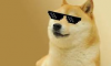 Doge gaming websites
