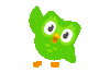Duolingo