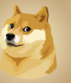 Doge Unblocker