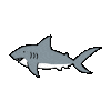 Shark Tracker