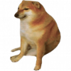 Doge V4