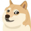 Doge v4