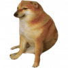 DOGE V4
