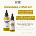 Dầu ủ tóc Herbe Beauty