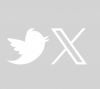 Twitter X