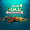 PUZZLING PLACES -25%