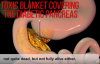 Doctors Shocked: Can This Enzyme Bust Diabetes?