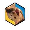 Boqueelis - YouTube