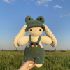 Crochet Bunny in a frog costume Plushie Pattern. - loo_knit