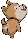 Doge Unblocker