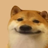 DOGE Unblocker V.2